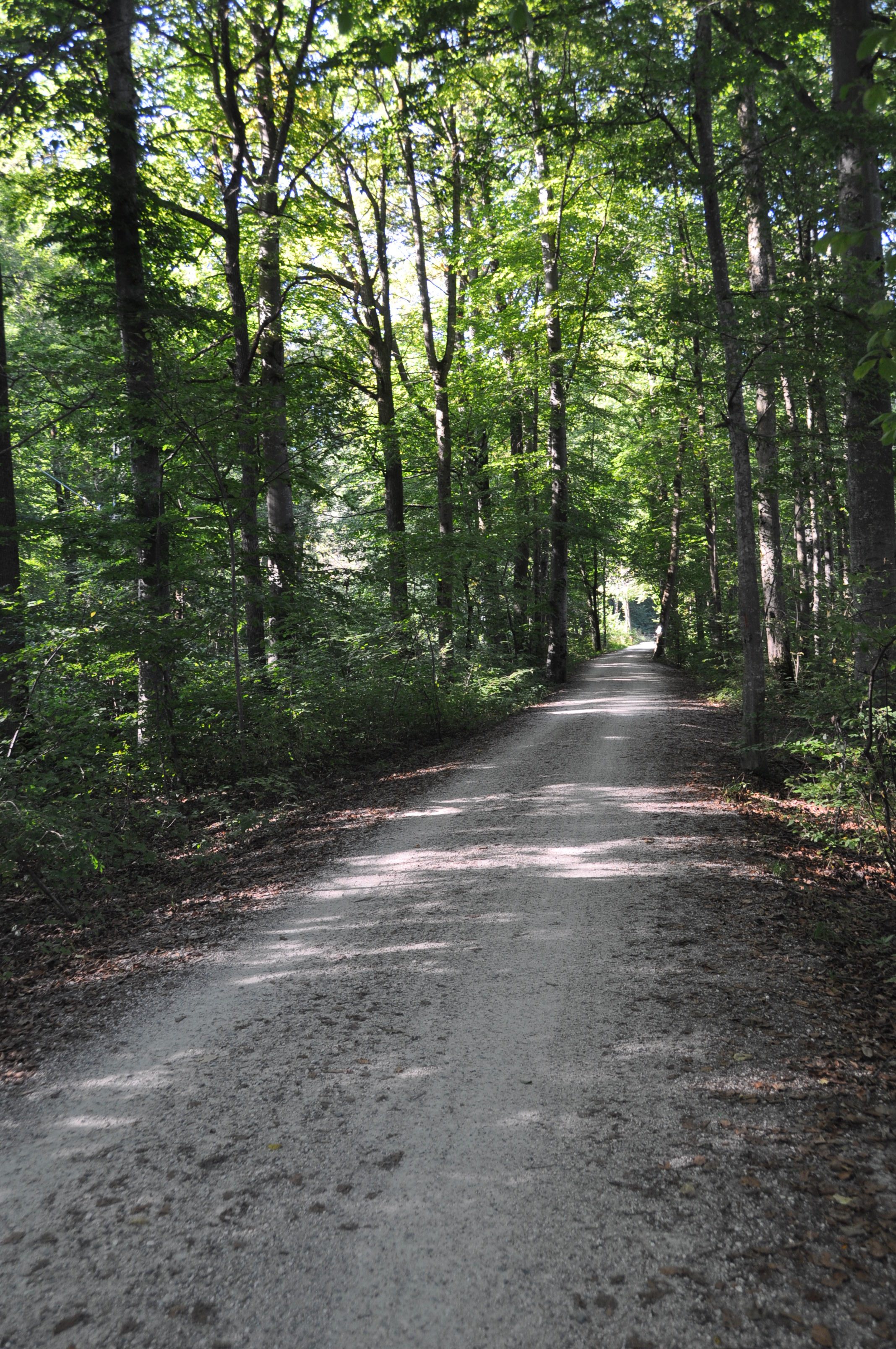 wanderweg_31